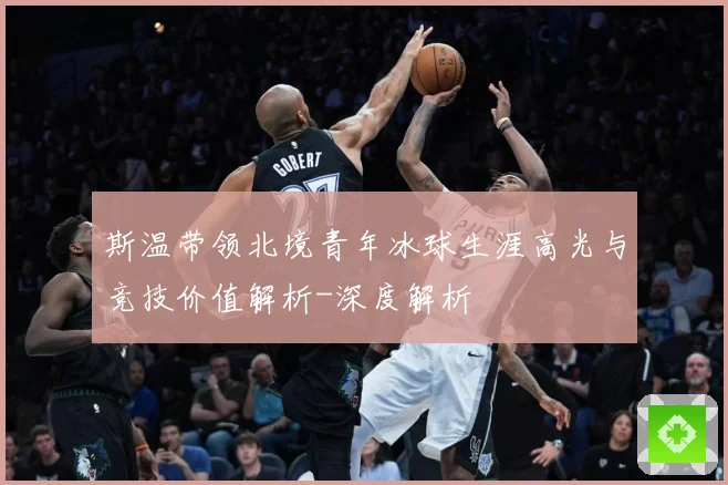 斯温带领北境青年冰球生涯高光与竞技价值解析-深度解析